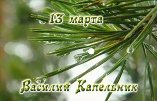 Народный праздник Василий Капельник Народный праздник Василий Капельник.