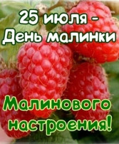 "День малины" "День малины".